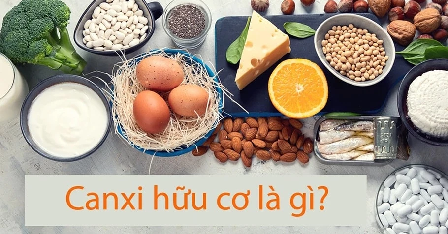 Canxi hữu cơ là gì? Top 8 canxi hữu cơ cho người lớn tốt nhất 2024